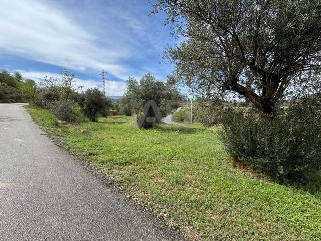 Terreno residencial en Venta en Ascó