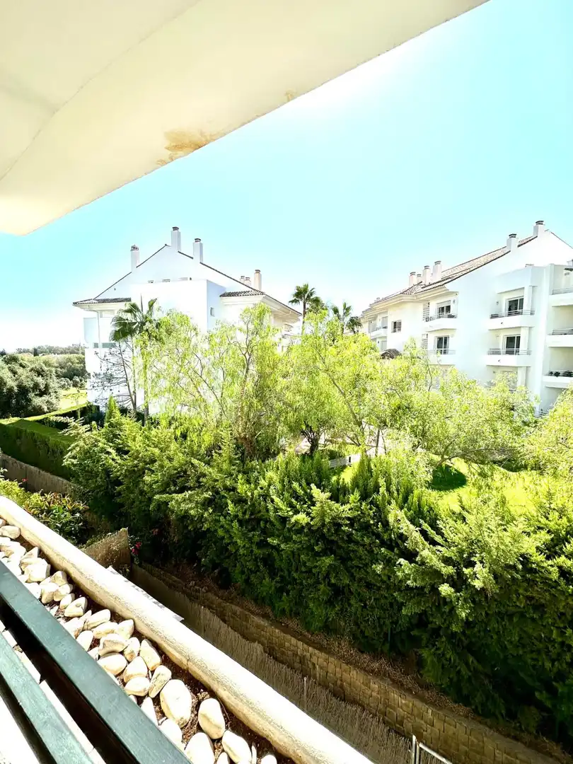 Vista exterior de Apartamento de alquiler en Marbella con Piscina comunitaria