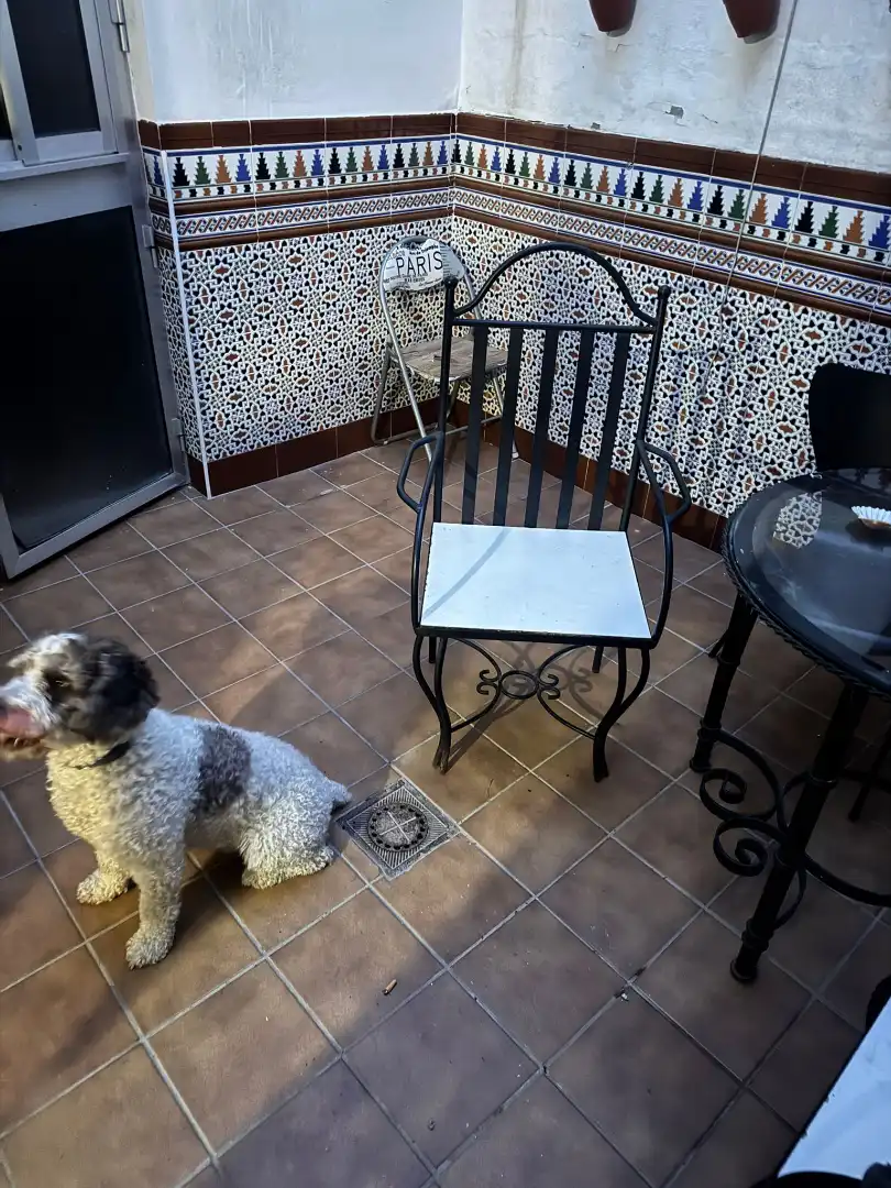 Terraza de Casa adosada en venta en Dos Hermanas con Aire acondicionado, Terraza y Amueblado