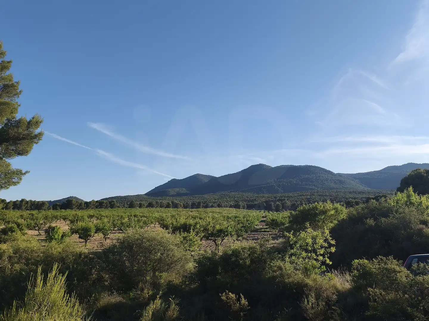 Terreno rustico in vendita a Moratalla, imagen 8
