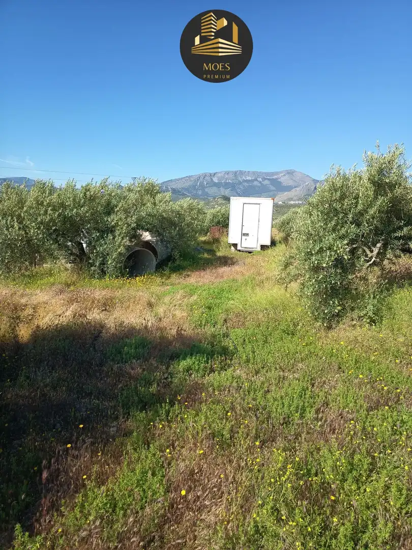 Country house for sale in Puente Tablas - Puente Nuevo - Cerro Molina, imagen 2