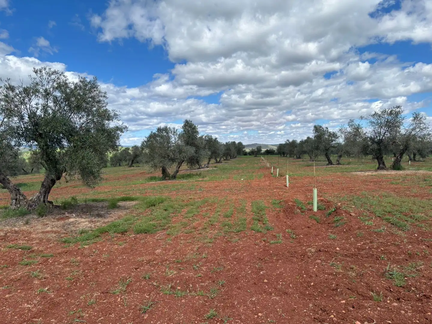 Residential for sale in Ciudad Real