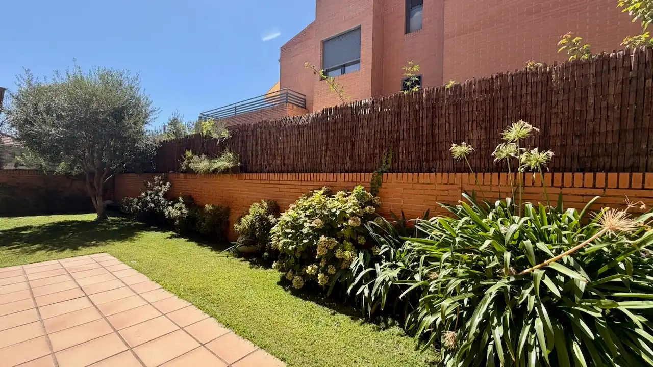 Jardín de Casa o chalet en venta en Paracuellos de Jarama con Aire acondicionado, Calefacción y Jardín privado
