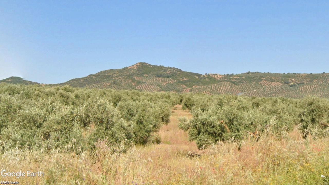 Land for sale in Montizón