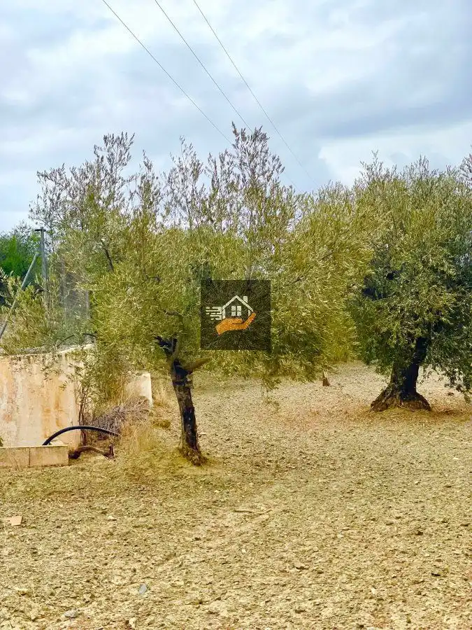 Residential land for sale in Vélez-Rubio