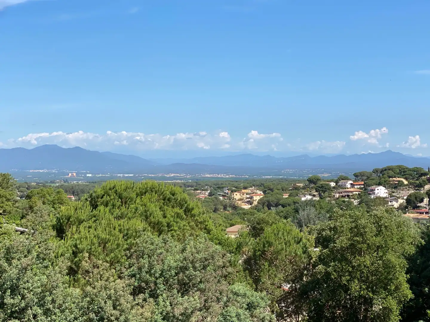 House with pool for sale in Montbarbat, imagen 5