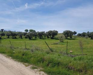 Residencial en venda en Plasencia