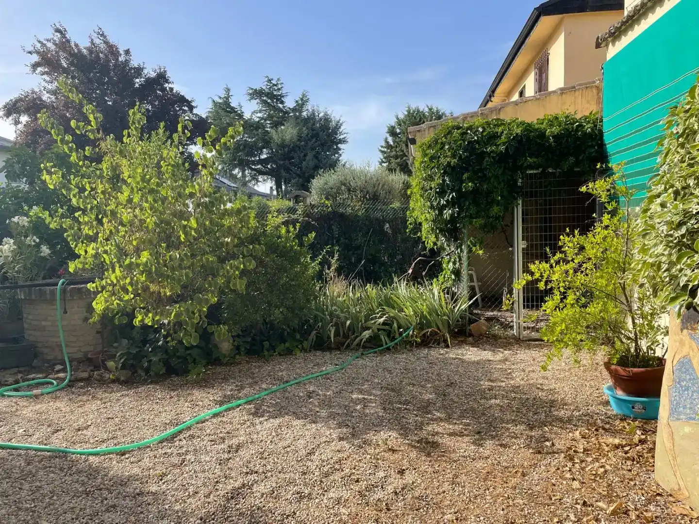 Jardí de Casa o xalet en venda en Collado Villalba amb Piscina