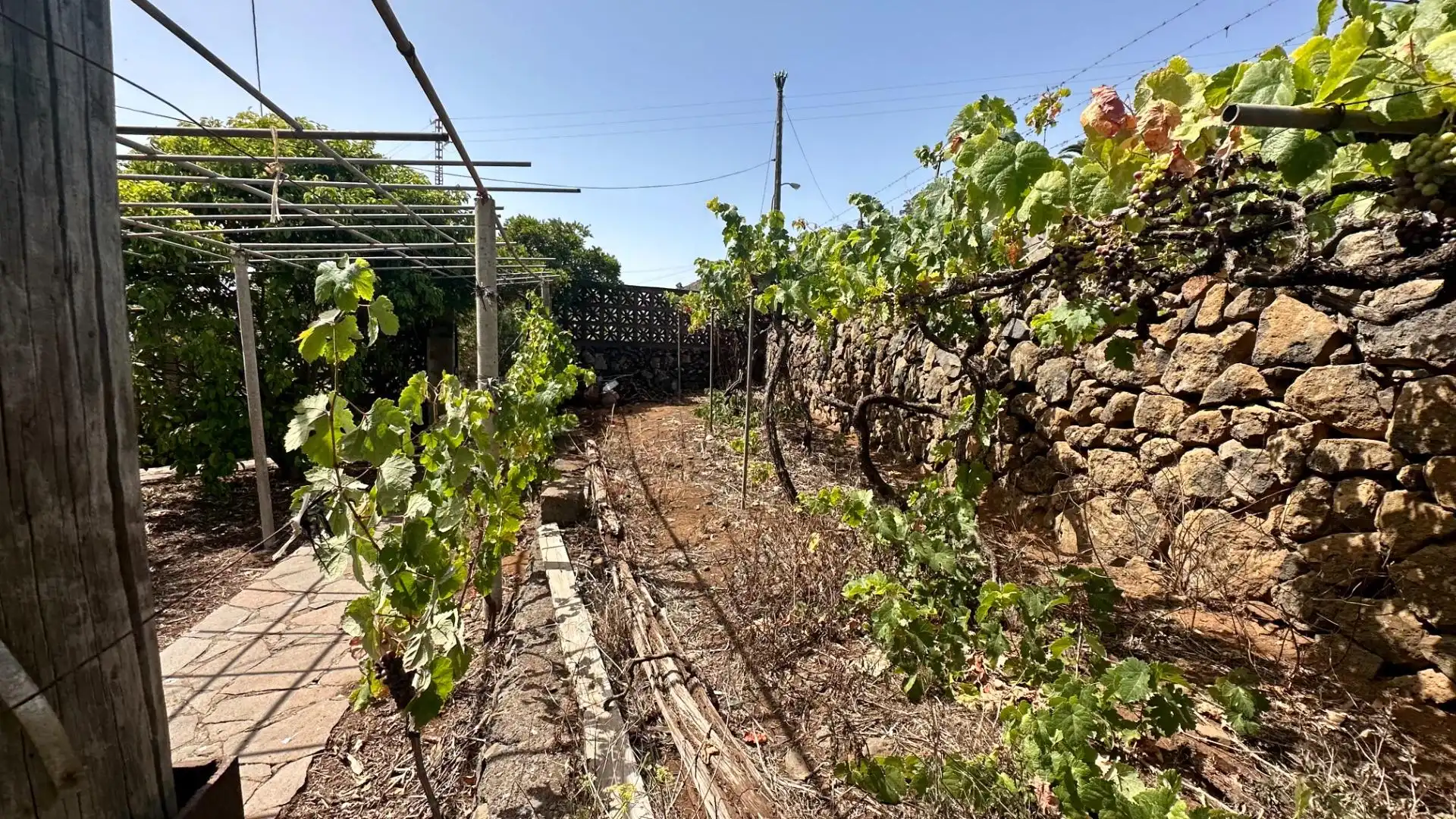 Jardín de Finca rústica en venta en El Rosario con Jardín privado, Terraza y Alarma