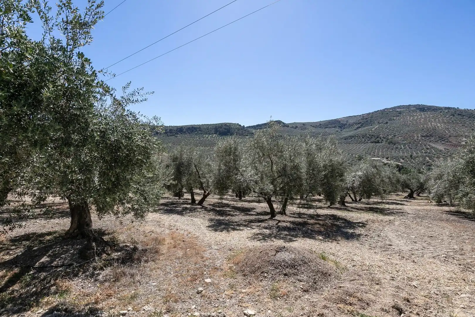 Finca rústica en venta en Montefrío con Calefacción, Jardín privado y Terraza