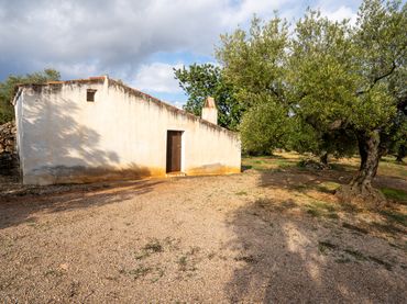 Terreno rústico en venta en TP-3311 13