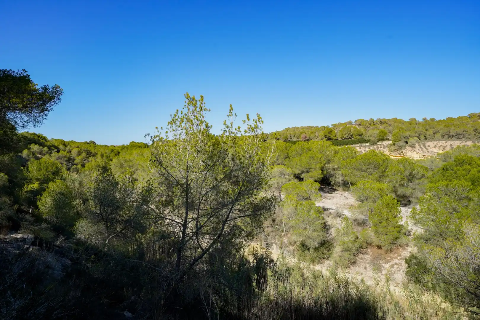 Flat with terrace for sale in El Pinar de Campoverde, imagen 56