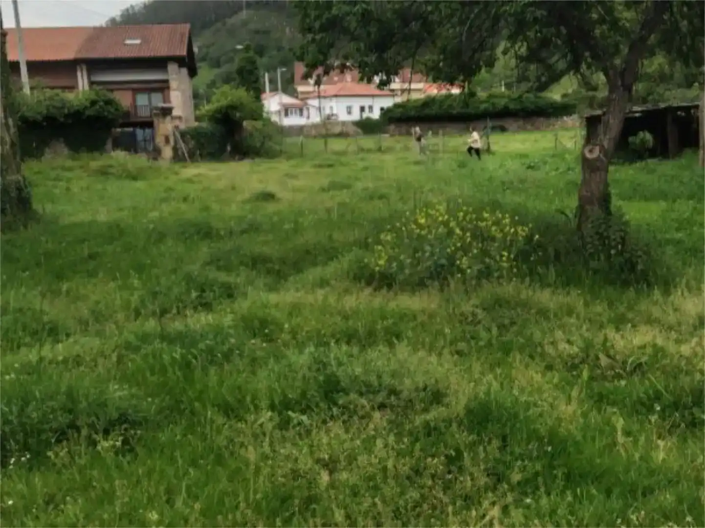 Houses for sale in Valdáliga, Cantabria