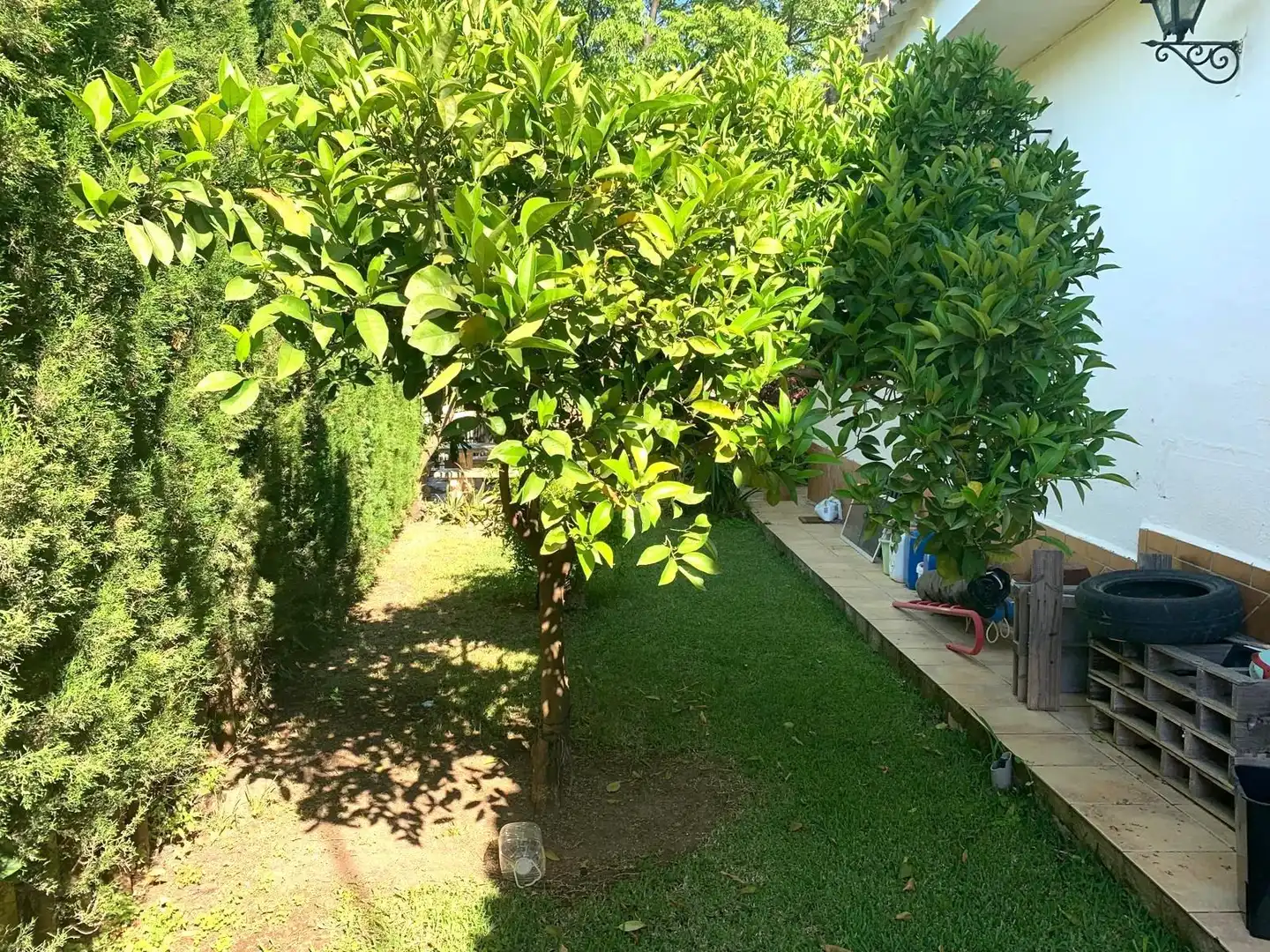 Chalet con piscina en venta en Castilblanco de los Arroyos, imagen 24