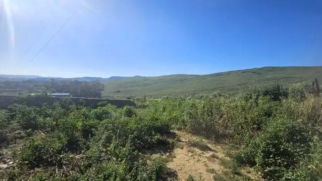 Country house for sale in Jimena de la Frontera, imagen 25