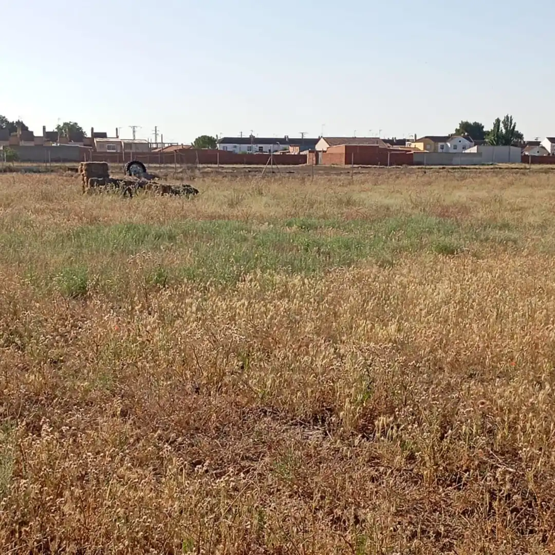 Terreny rústic en venda a Camino del Cuadrado 50, imagen 36