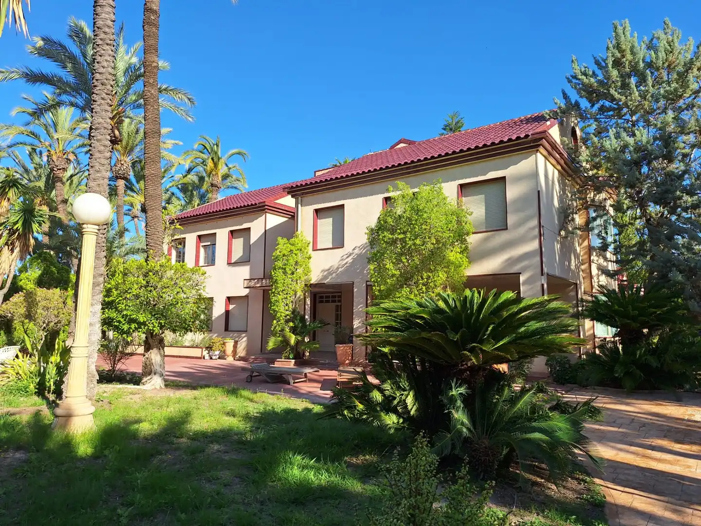 Vista exterior de Casa o chalet en venta en Elche / Elx