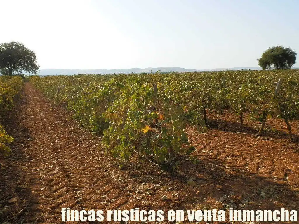 Terrenys i solars en venda a Almagro