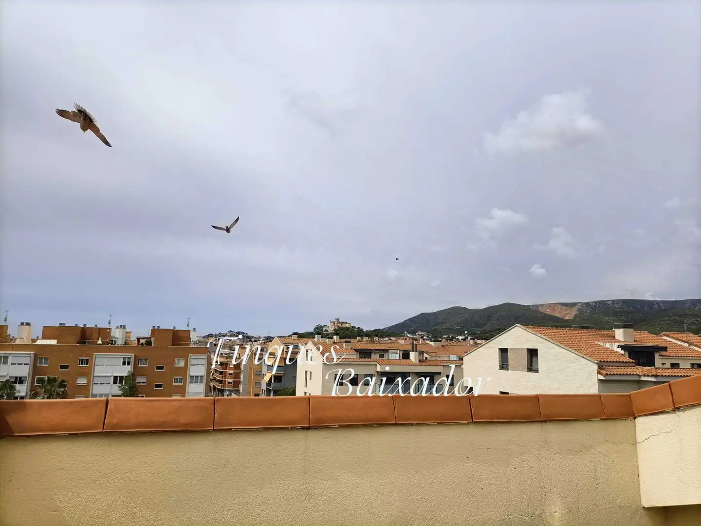 Duplexes for sale in Avinguda de la Constitució, Els Canyars