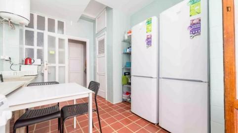 Foto 3 de Habitació a El Botànic, Valencia Capital