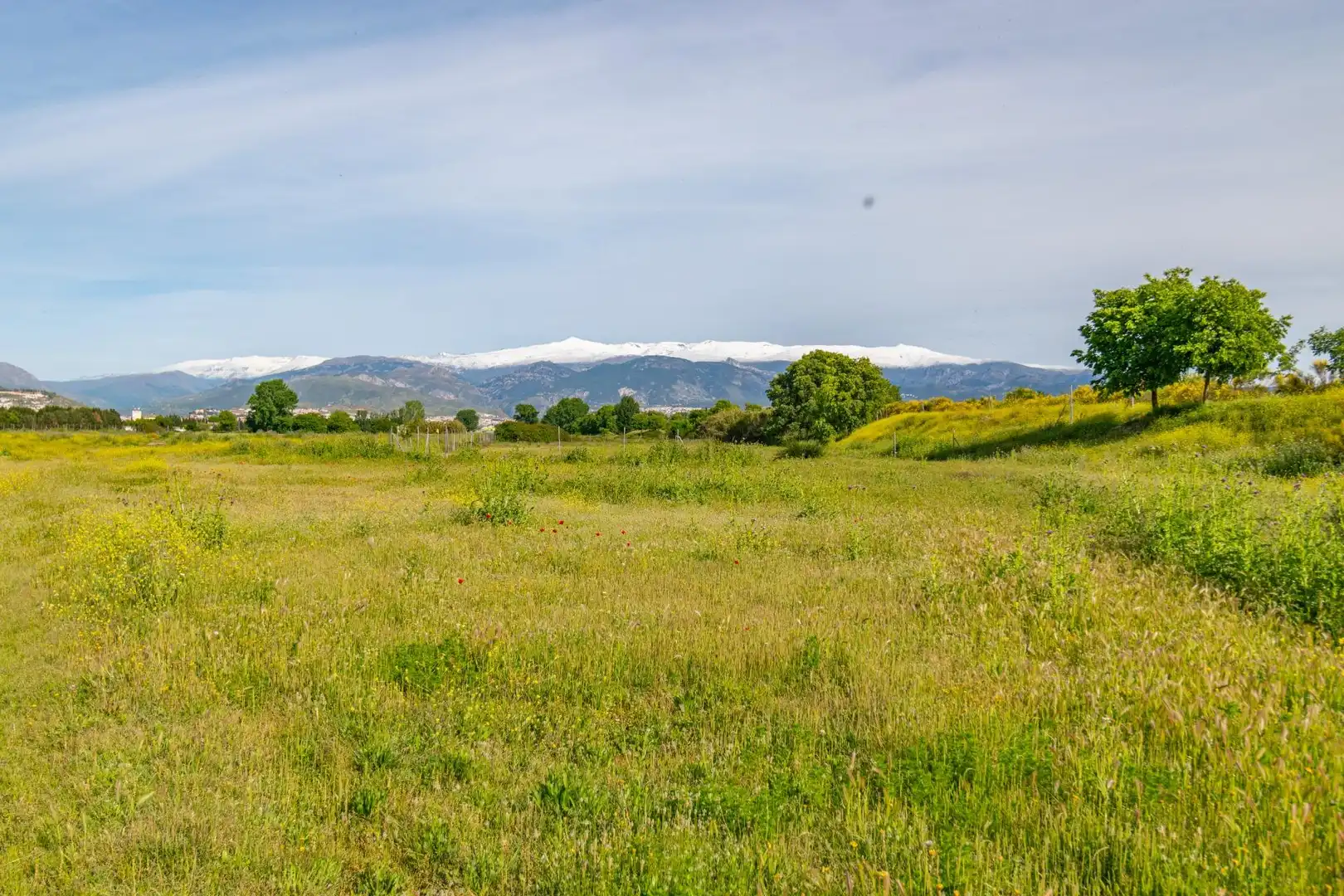 Lands and plots for sale in Polígono 9 Parcela 307 MARACHAT. GRANADA (GRANADA, imagen 24