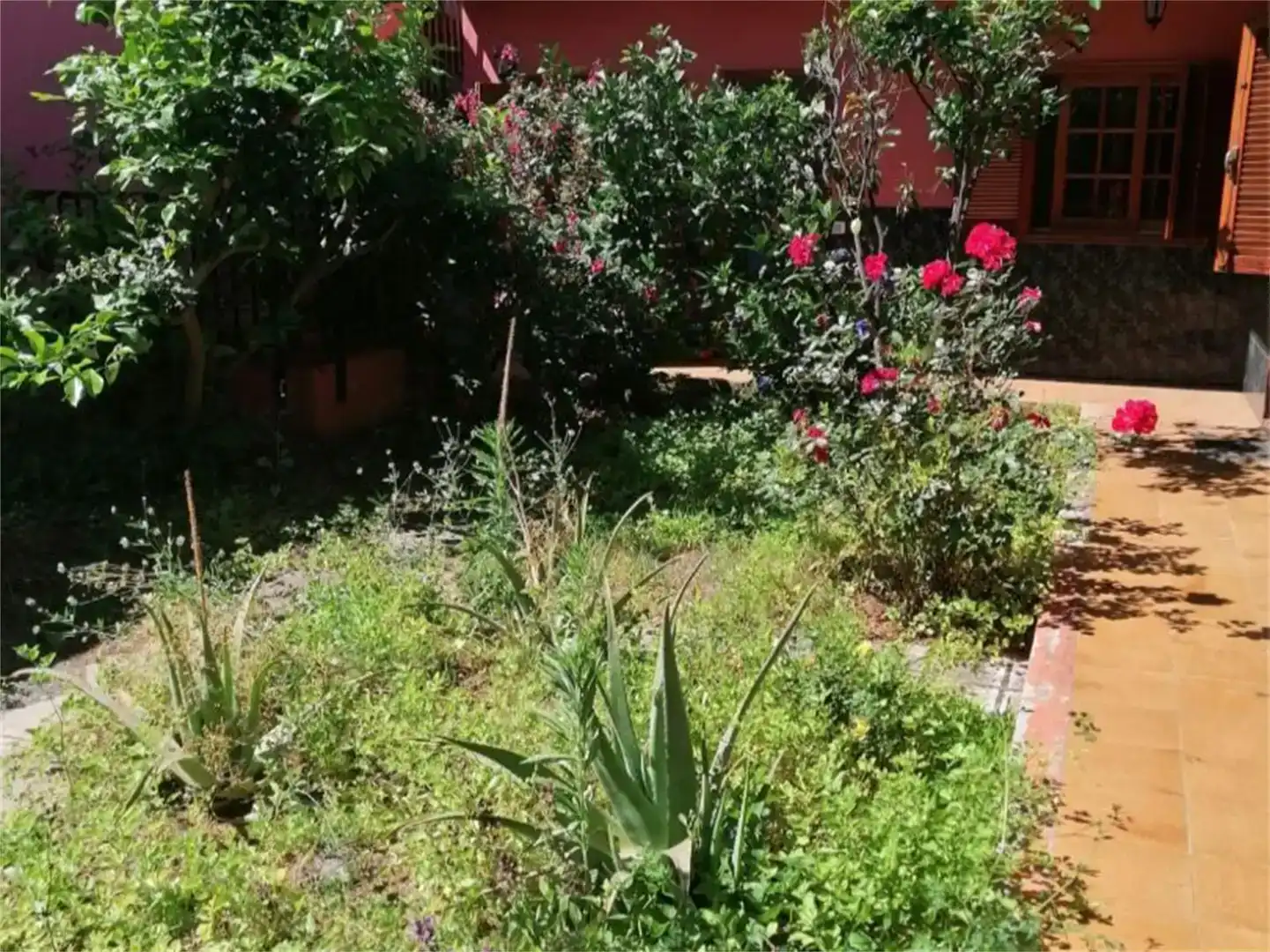 Jardí de Casa o xalet en venda en Santa Úrsula