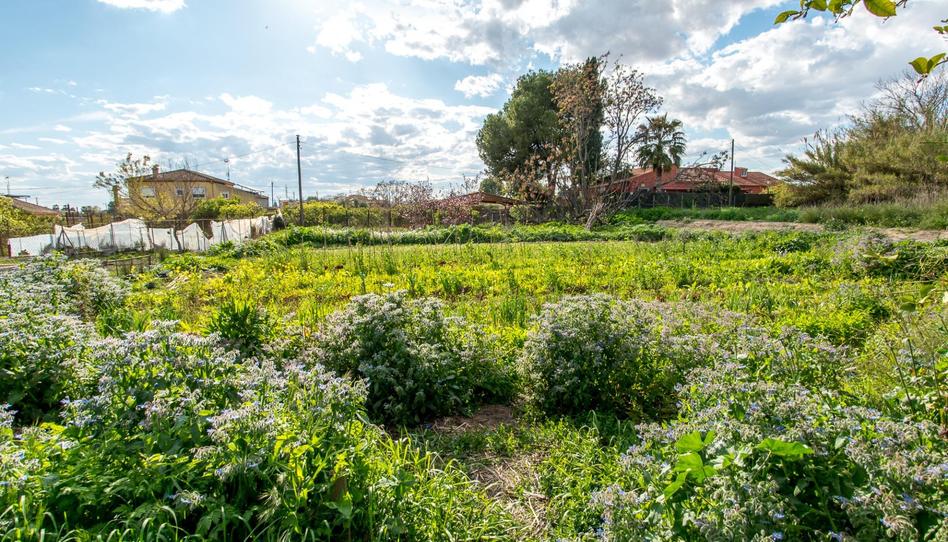 Foto 1 de Finca rústica en venda a Camino Senda Granada, 104, Guadalupe, Murcia