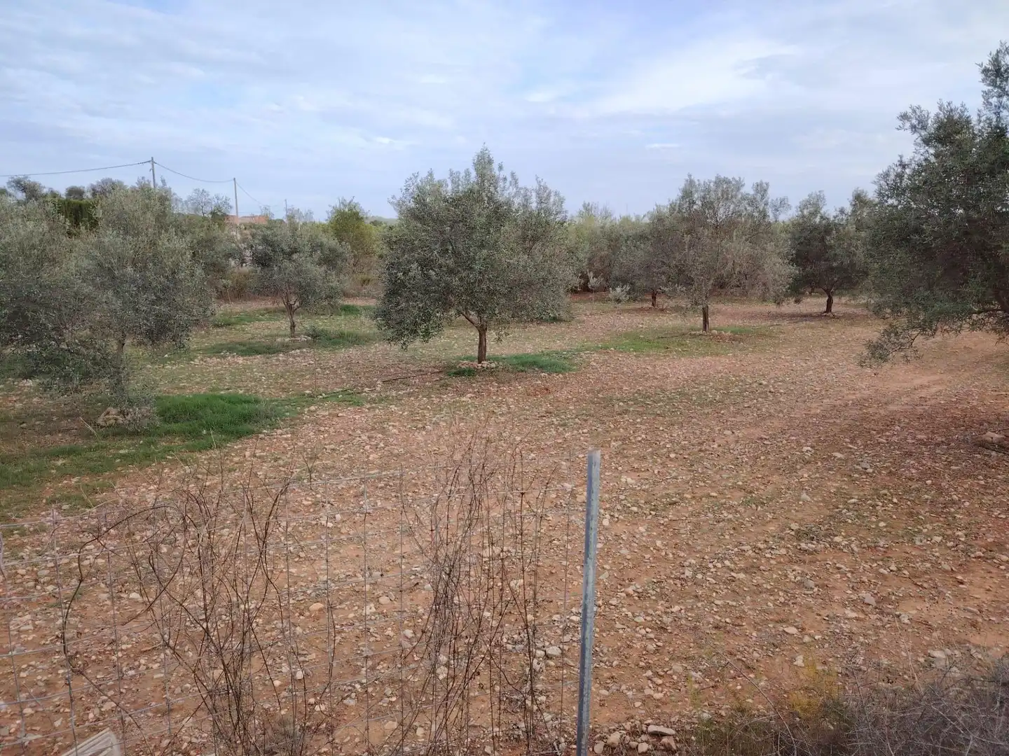 Terrain rustique à vendre à Santa Bárbara