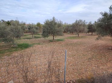 Terreno rústico en venta en Santa Bárbara