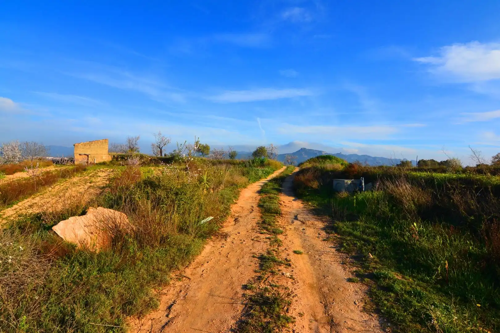 Rural land for sale in Gandesa, imagen 5