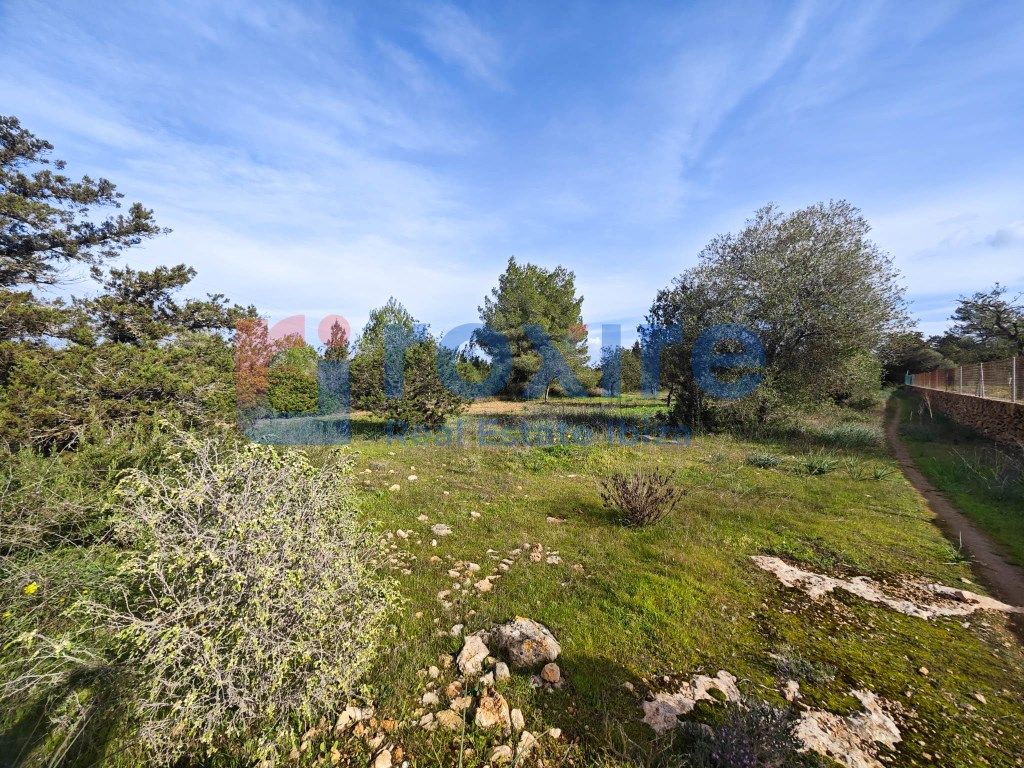 Land for sale in Sant Antoni de Portmany