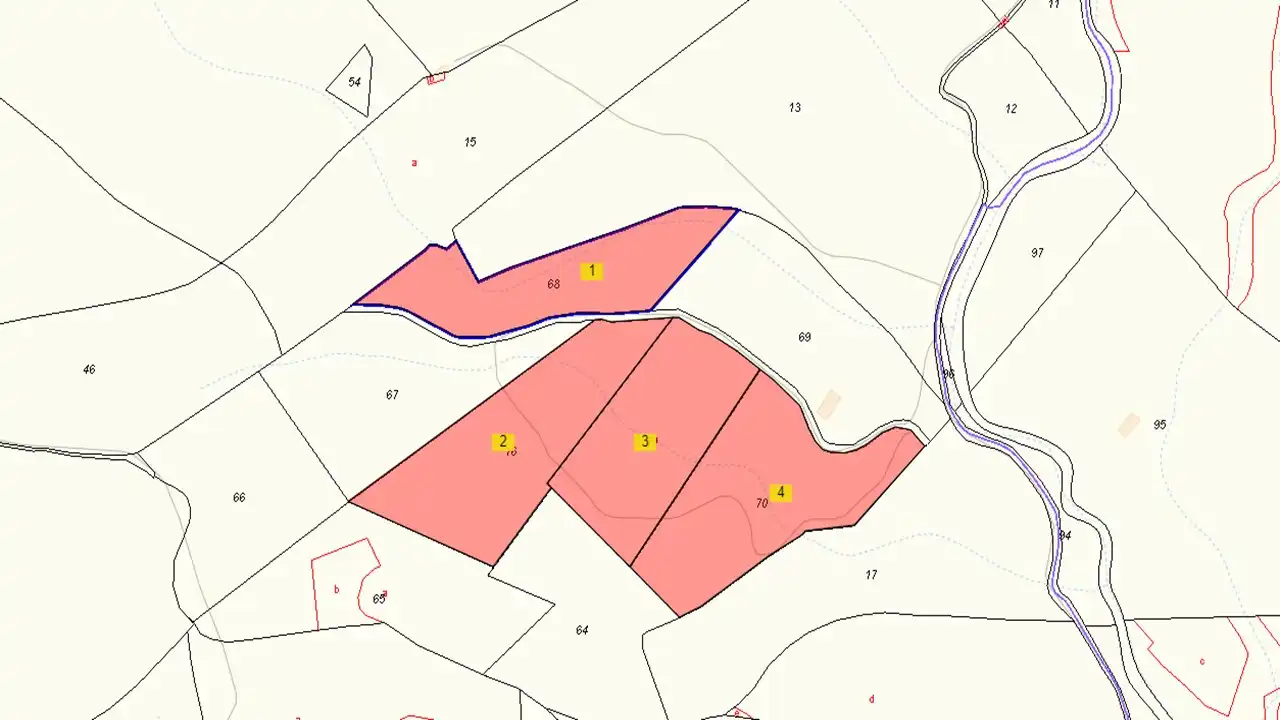 Terrains et parcelles à vendre à PT Paraje El Remendao, imagen 2