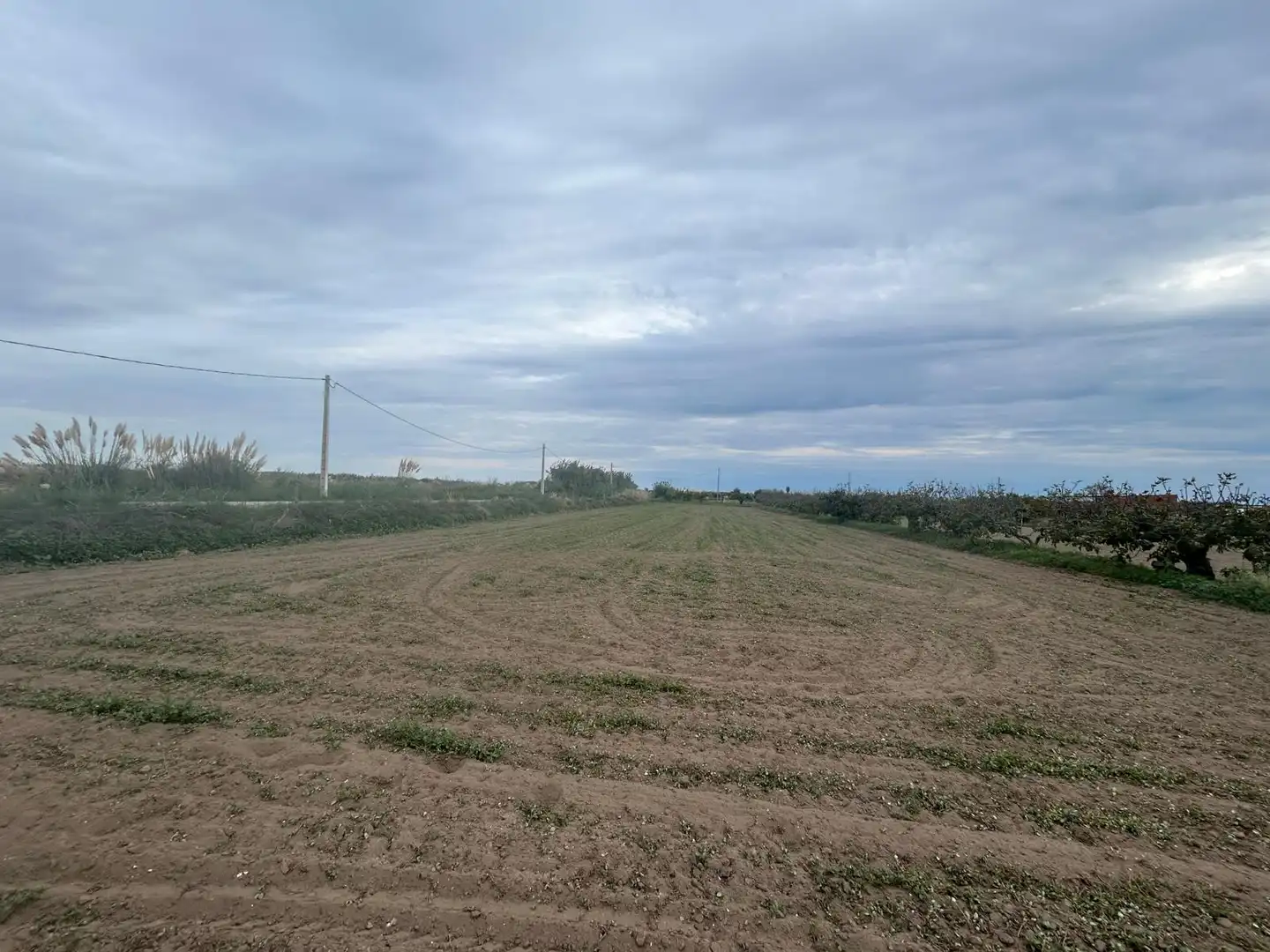 Terreno rustico in vendita a Vilamarina