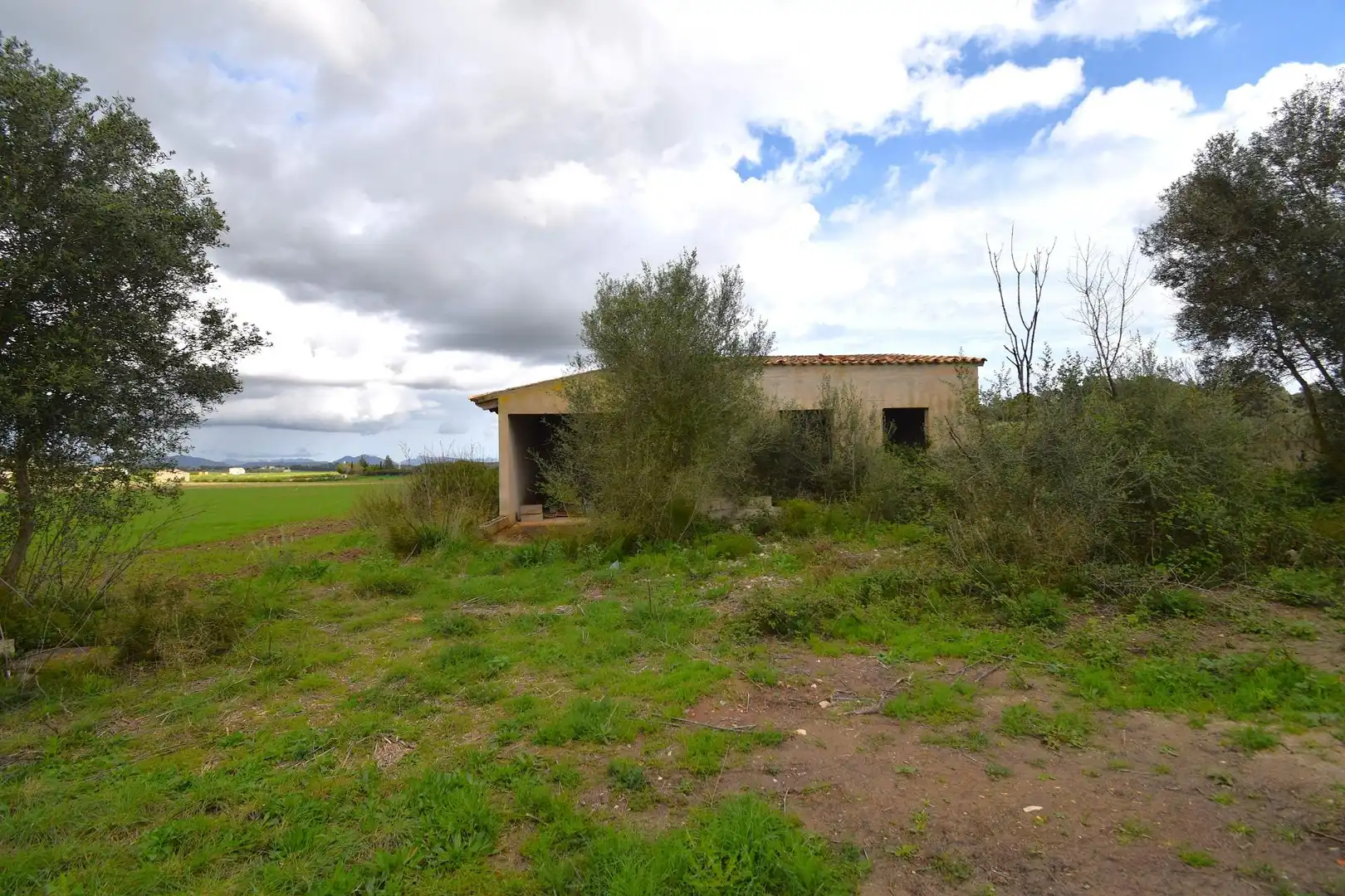 Residential land for sale in Muro, imagen 3