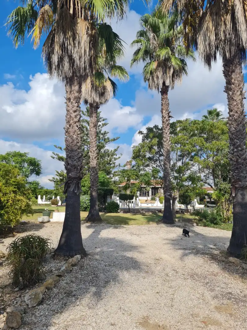 Detached house with pool for sale in Boverals - Saldonar, imagen 5