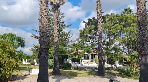 Finca exclusiva con villa, piscina y licencia turística entre Vinaròs y Alcanar, imatge 5