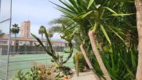 Garden of Flat for sale in Benidorm  with Terrace and Swimming Pool