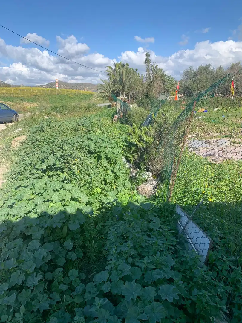 Garten von Grundstücke zum Verkauf in Málaga
