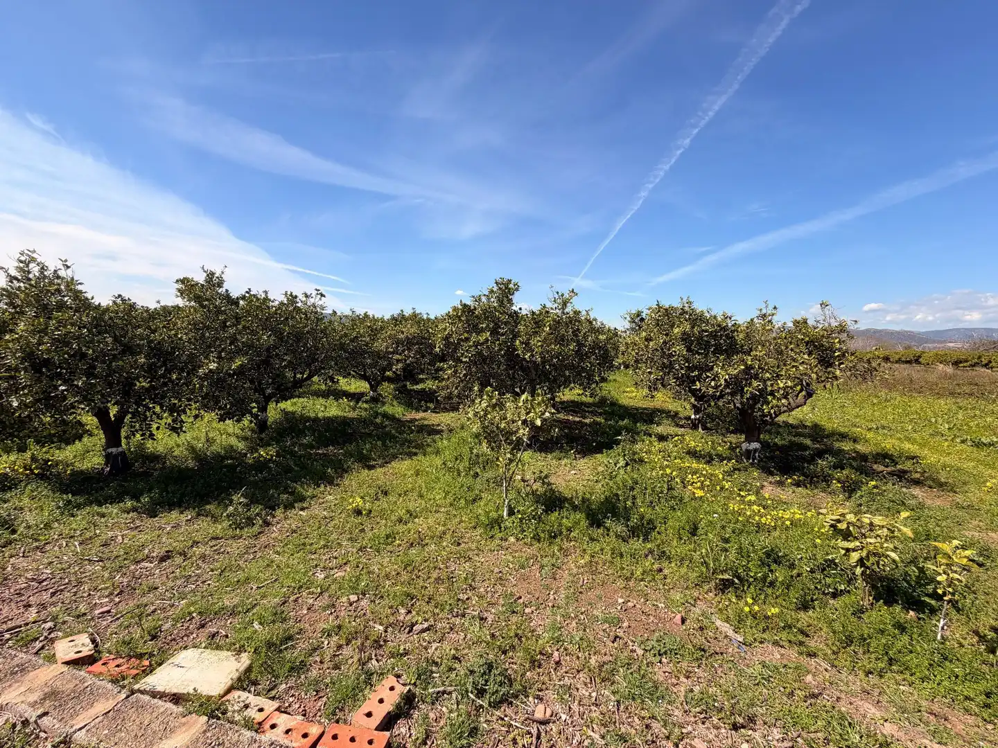 Rural land for sale in Almenara, imagen 15