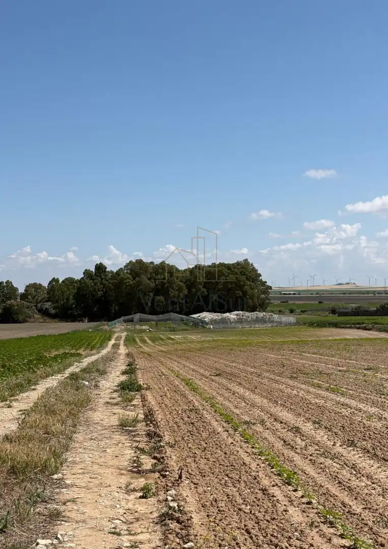 Terreno rústico en venta en Norte - Blanca Paloma