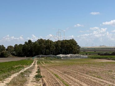 Terreno rustico in vendita a Norte - Blanca Paloma