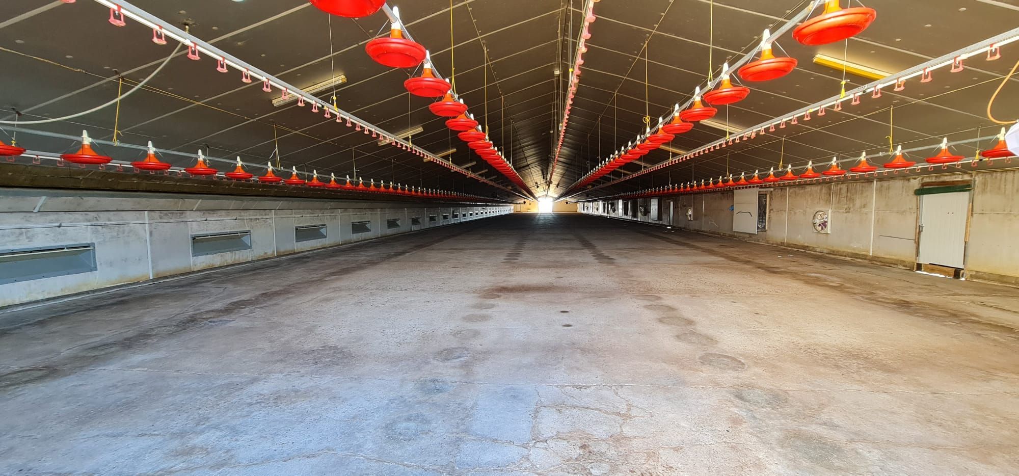 Exterior view of Industrial buildings for sale in El Viso