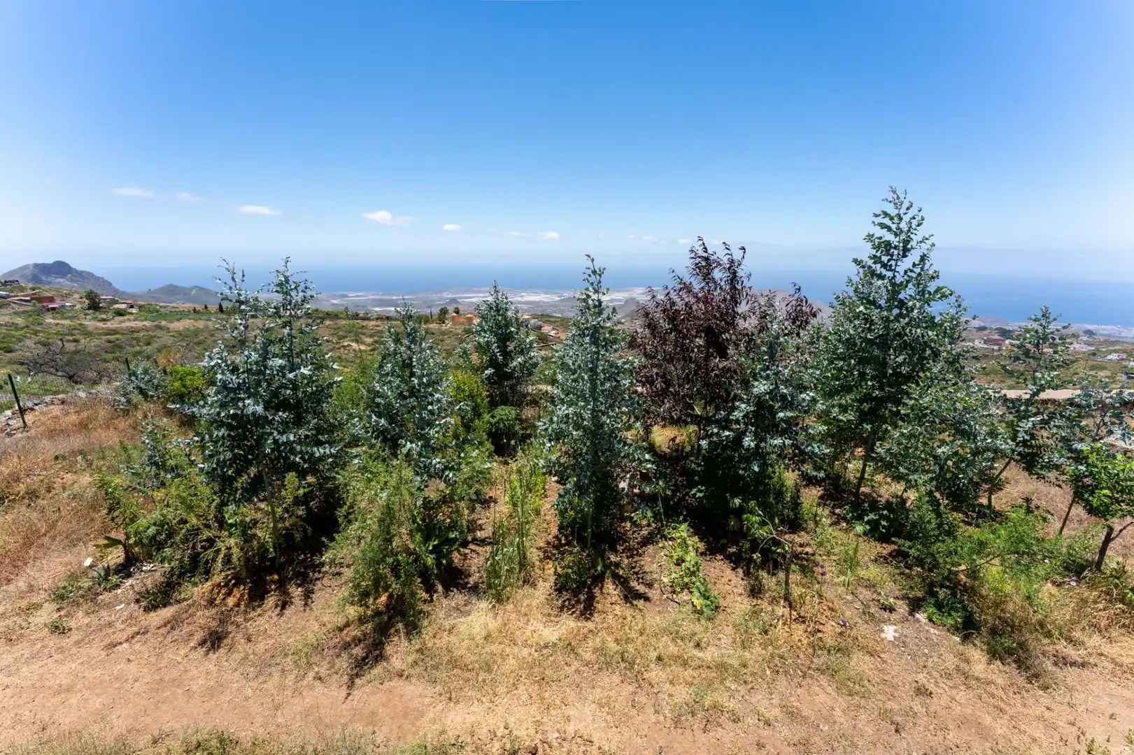 Villa avec jardin à vendre à Arona pueblo, imagen 66