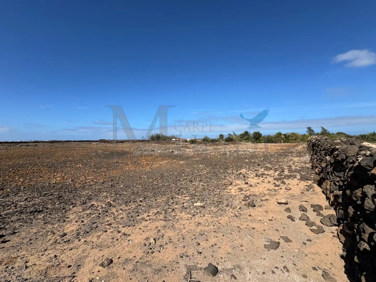 Land for sale in La Oliva