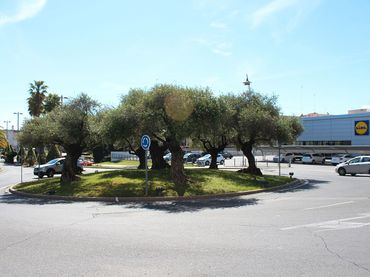 Business premises for sale in Nueva Alcalá
