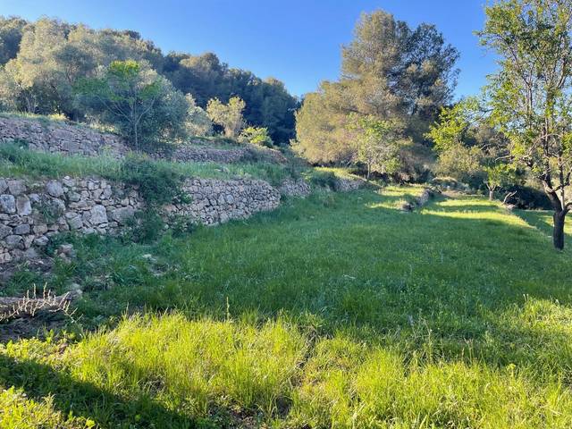 Finca rústica en Venta en Polígono Polígono 12 Paraje 104 FONT ROC en Cabanes
