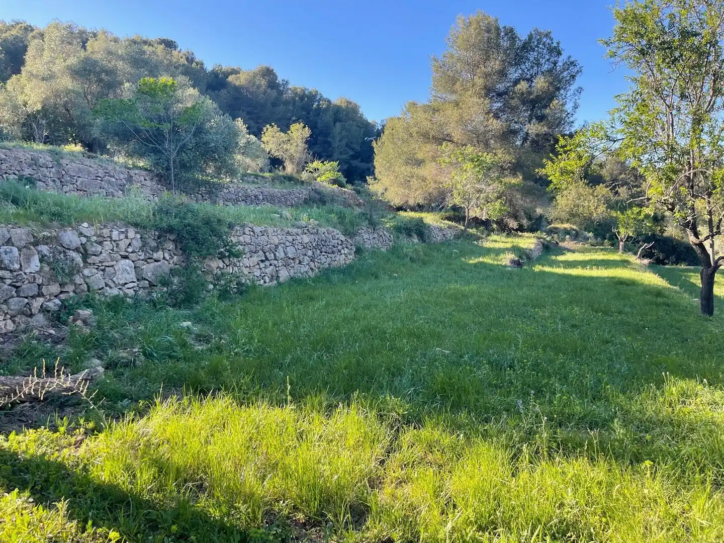 Finca rústica en venta en Cabanes