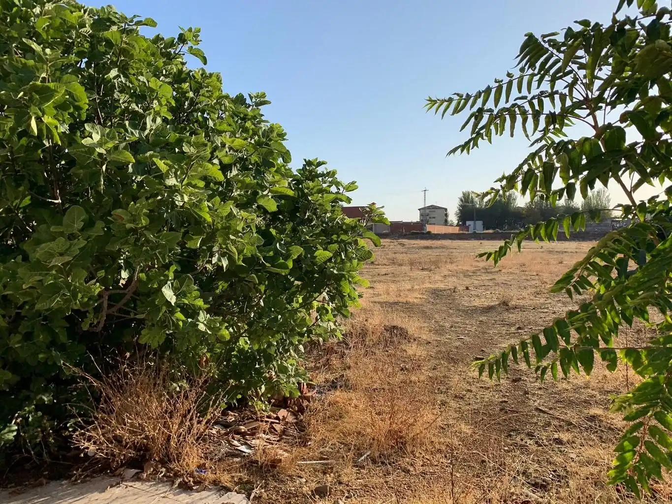 Terreny residencial en venda a Calle Pachecas, imagen 16