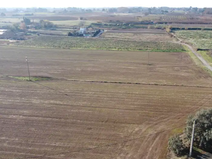 Rural land for sale in Partida Boixadors 160, imagen 5
