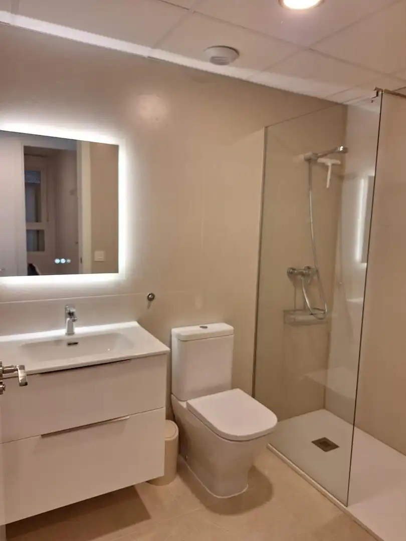 Flat with lift to rent in Calle Miguel Senent Vivó, imagen 5